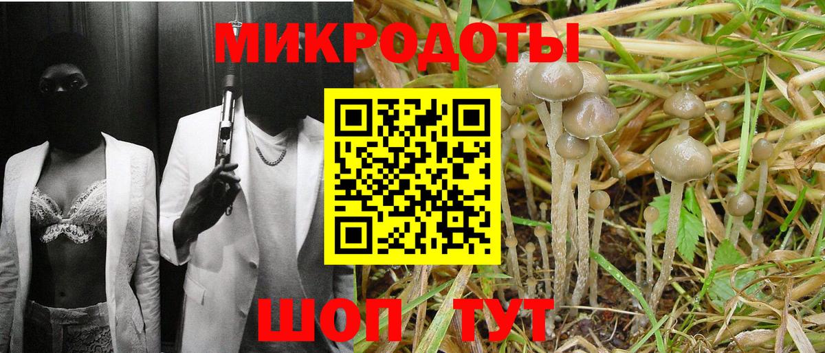 Каменск-Шахтинский  Псилоцибиновые грибы ЛСД  Вход с VPN  где купить наркотик  Псилоцибиновые грибы прущие грибы 