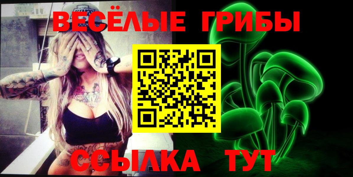 Каменск-Шахтинский  ГАШ  A PVP СК   АМФ   Меф МЯУ МЯУ кристаллы  Марихуана  МДМА  ЭКСТАЗИ  Вход с VPN  Кокаин 